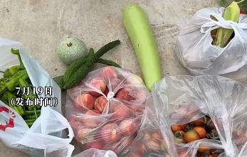 菜市场里每天人来人往，不少摊主起早贪黑种菜卖菜，就靠这点生鲜换点生活费，偏偏有人