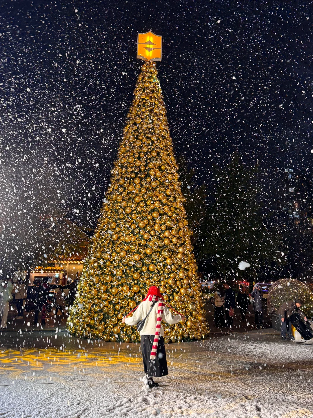 11.29！！在成都发现一颗巨型圣诞树🎄