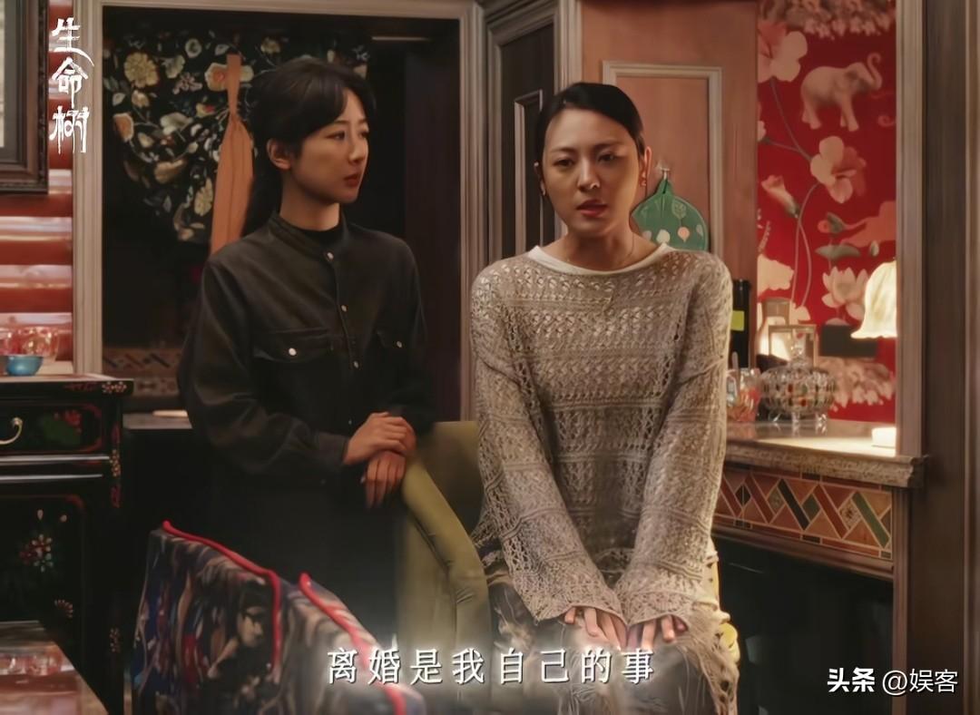 生命树：白芷离婚归来，白家4个孩子，三个婚姻有问题！
当年白芷为了爱情远嫁他乡，