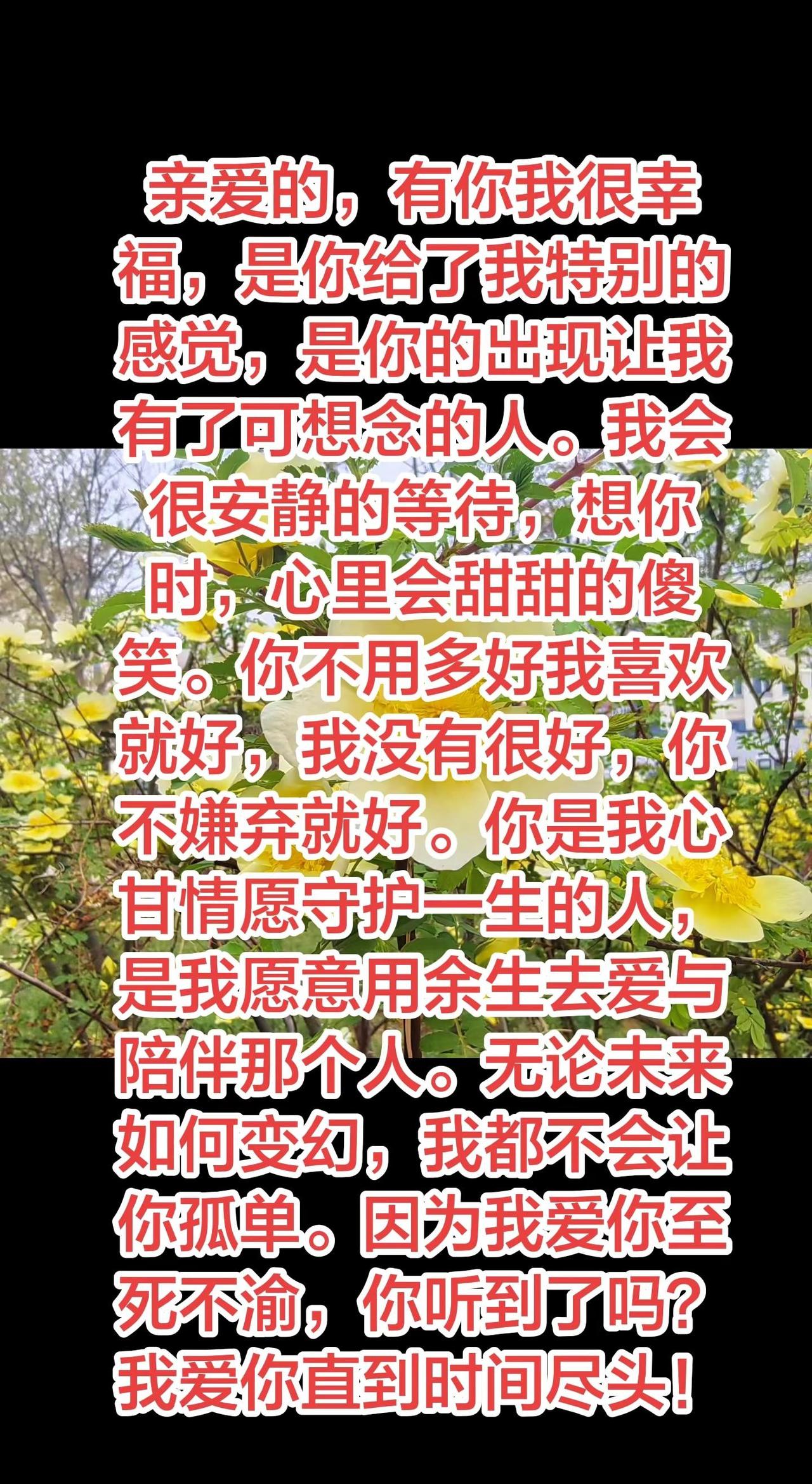 爱你至死不渝。有你我很幸福，你是我心甘情愿守护一生的人，是我愿意用余生爱与陪伴的