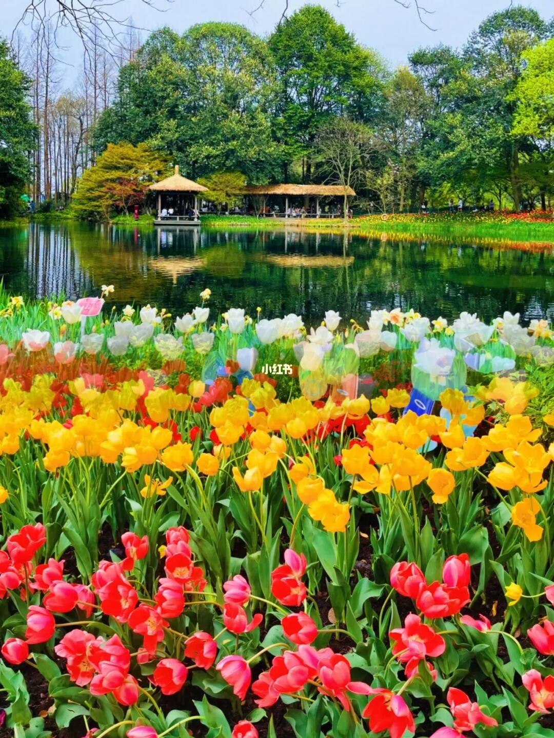 我也不想人挤人😩但太子湾公园实在太美了