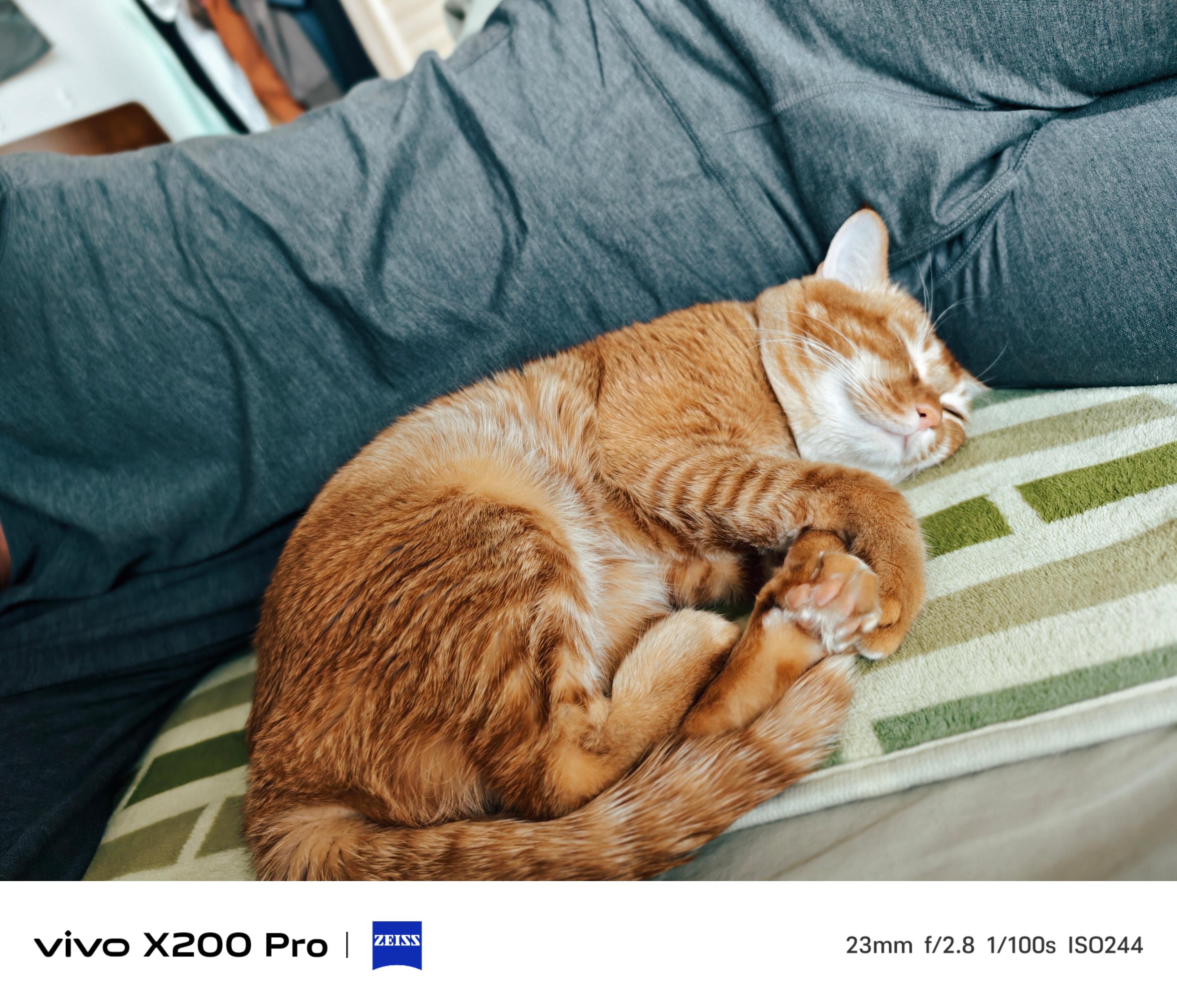 谁是你的冬日搭子 比暖宝宝还好使🐈～！ 