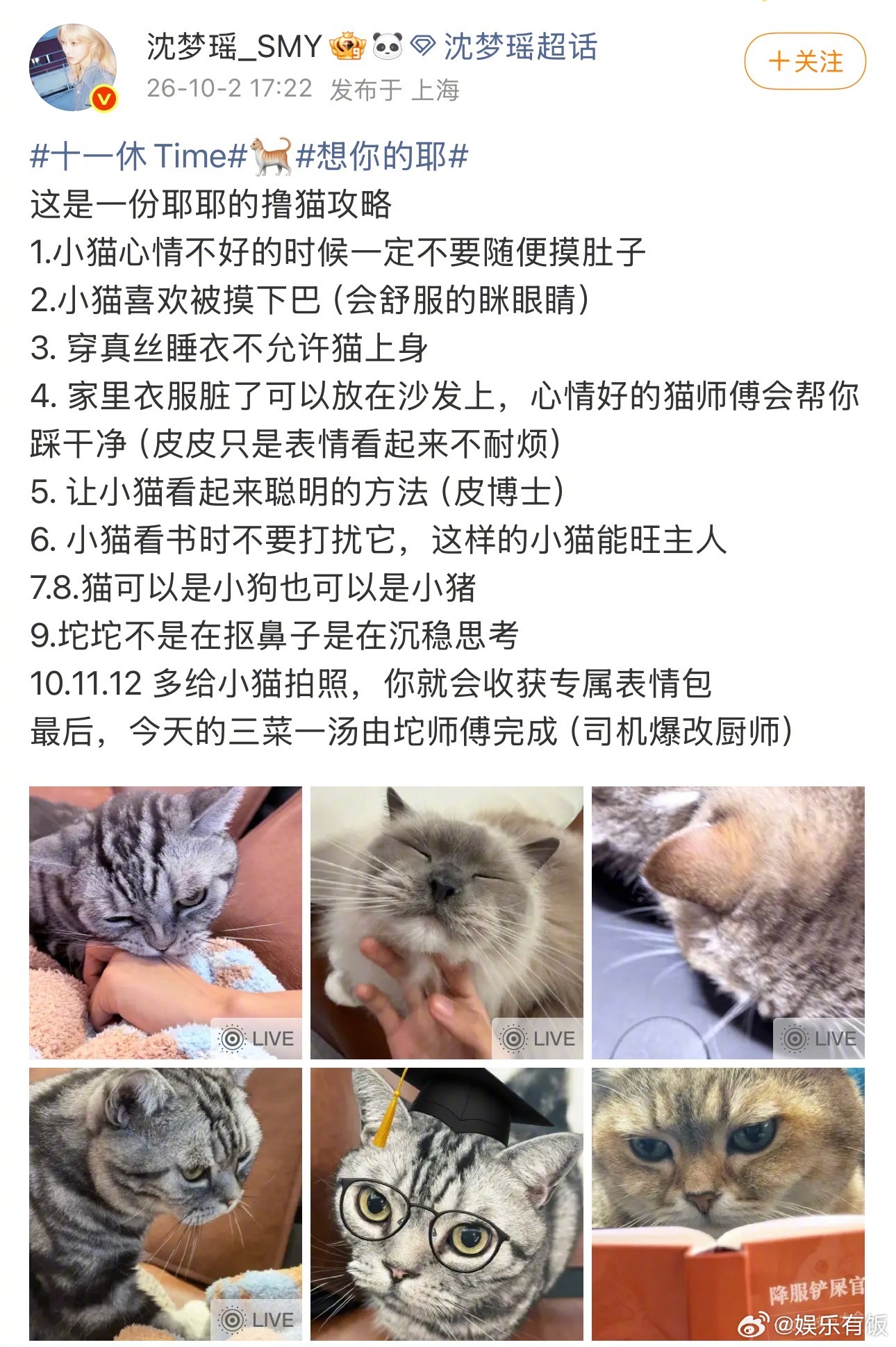 沈梦瑶撸猫手册太实用了沈梦瑶是真的想教会我撸猫 谁还没被沈梦瑶这份撸猫手册萌到！