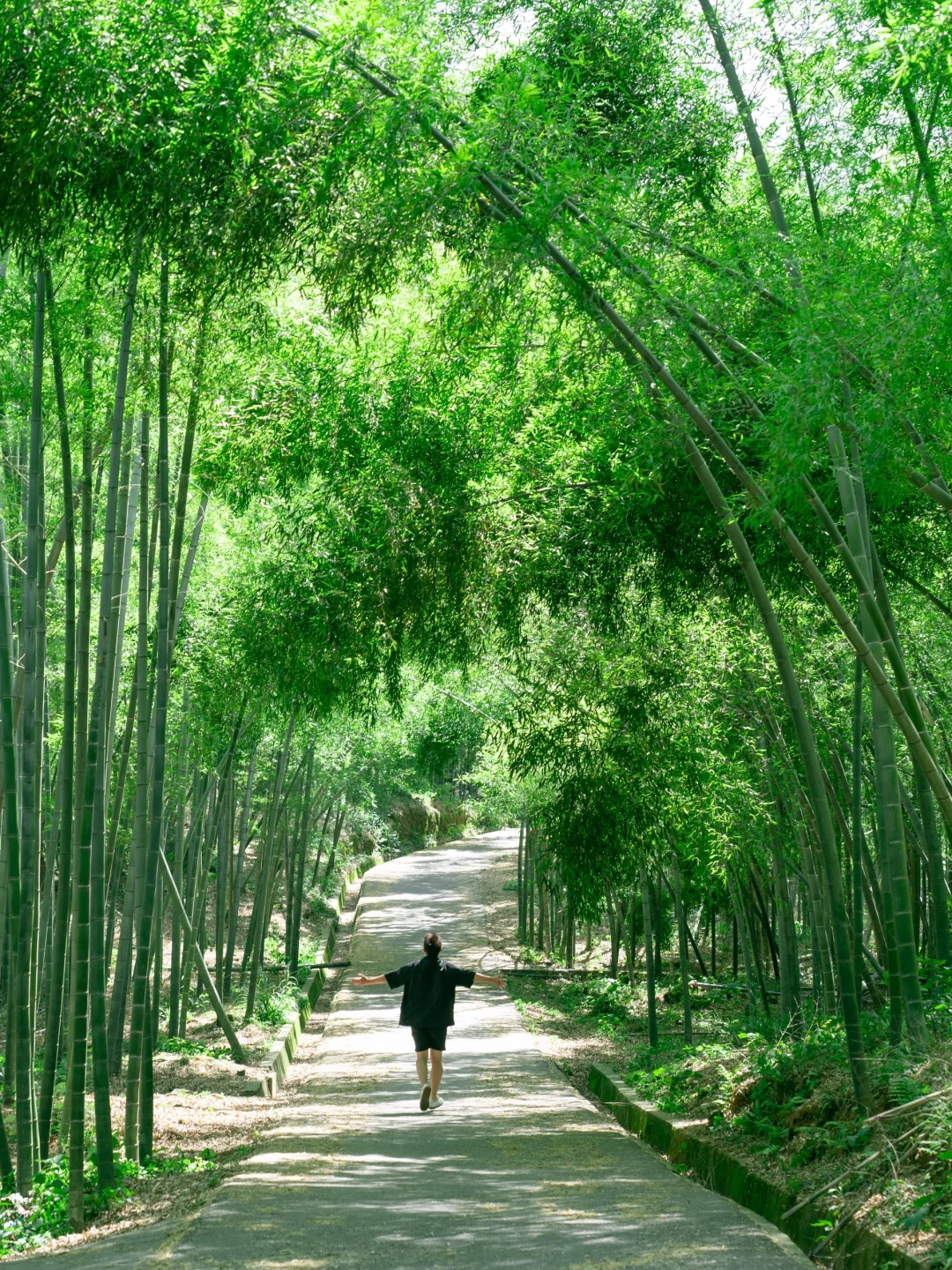 我在长沙找到了金庸笔下的竹海秘境🍃好惬意