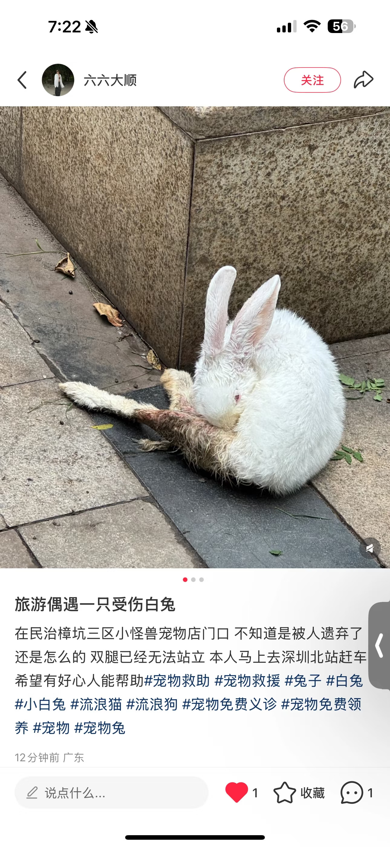 可以帮忙扩散一下吗，好可怜的小宝贝😭