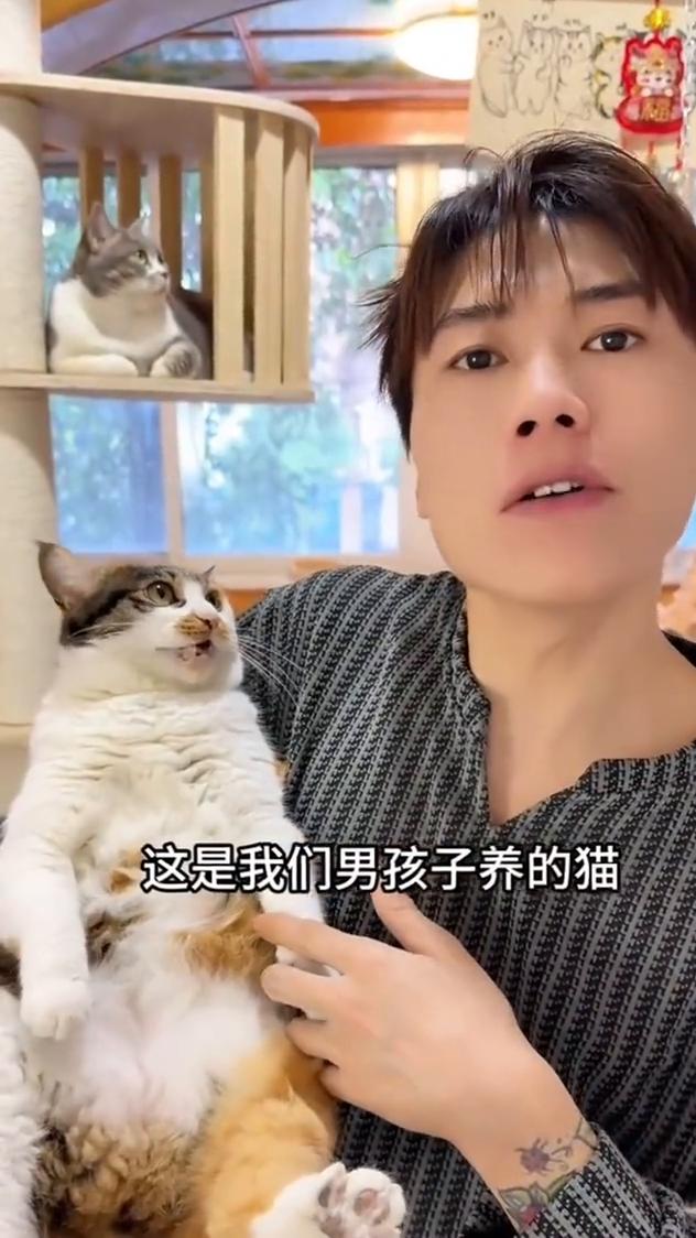 这是男孩子养的猫，摸我一下，打我一下，咬我一口，再咬一口。