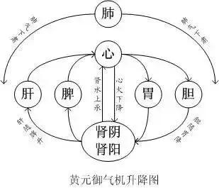 想要成为治病高手吗？今天我们来聊聊人体内的“圆运动”，这可是中医养生的秘密武器哦
