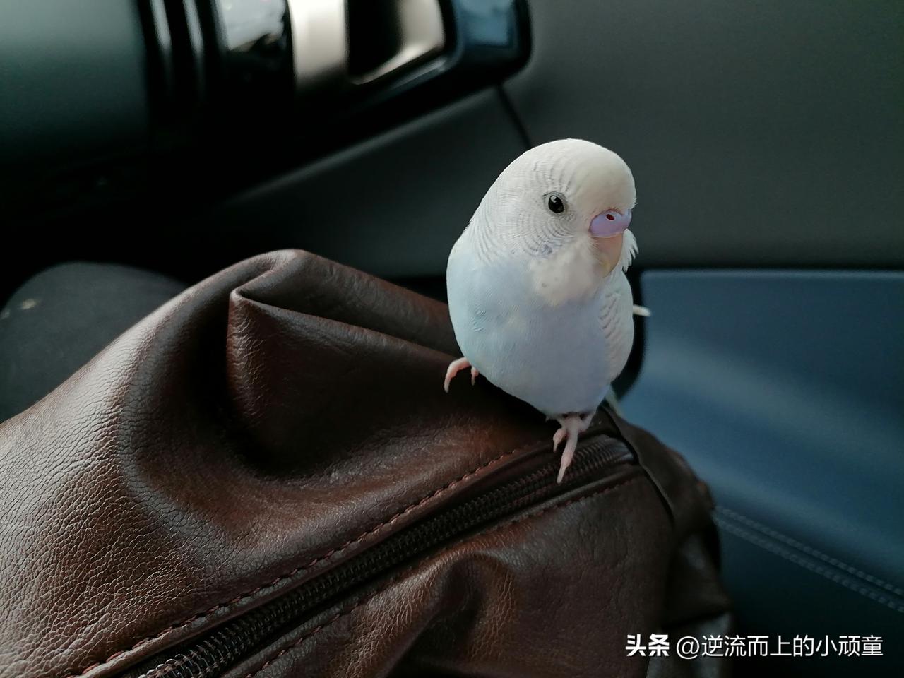 今天想着已经恍惚过去好久了，
又过去10年了。

一路走来，不容易，
看到了各色