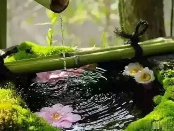 #情感#                     《无题》轩窗潇洒绝尘埃，竹树交