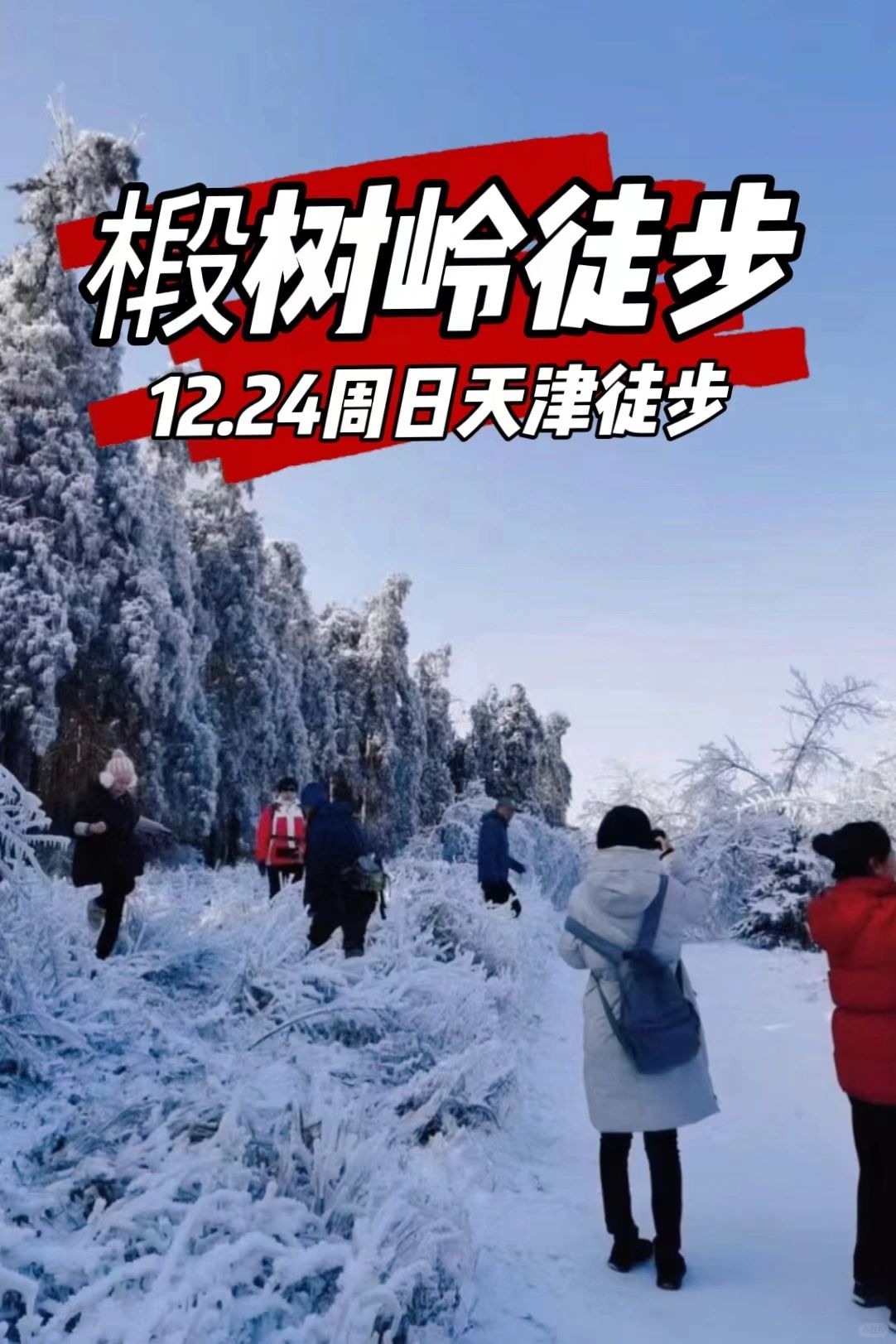 天津周末徒步赏冰瀑布之一：椴树岭