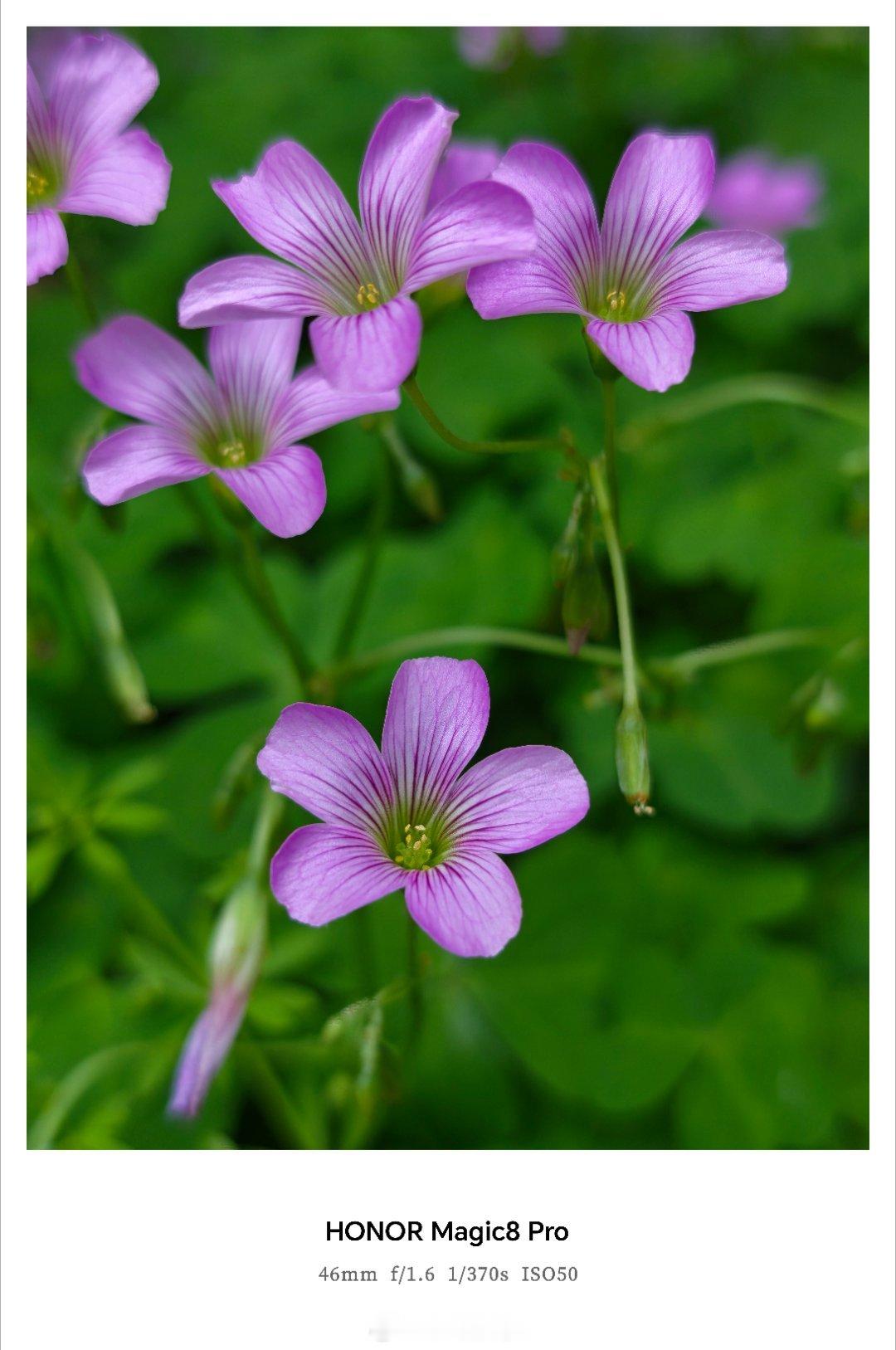 儿子因父亲逼自己分手失联16年换位思考，谁被至亲毁掉幸福，心里能不怨恨？16年失