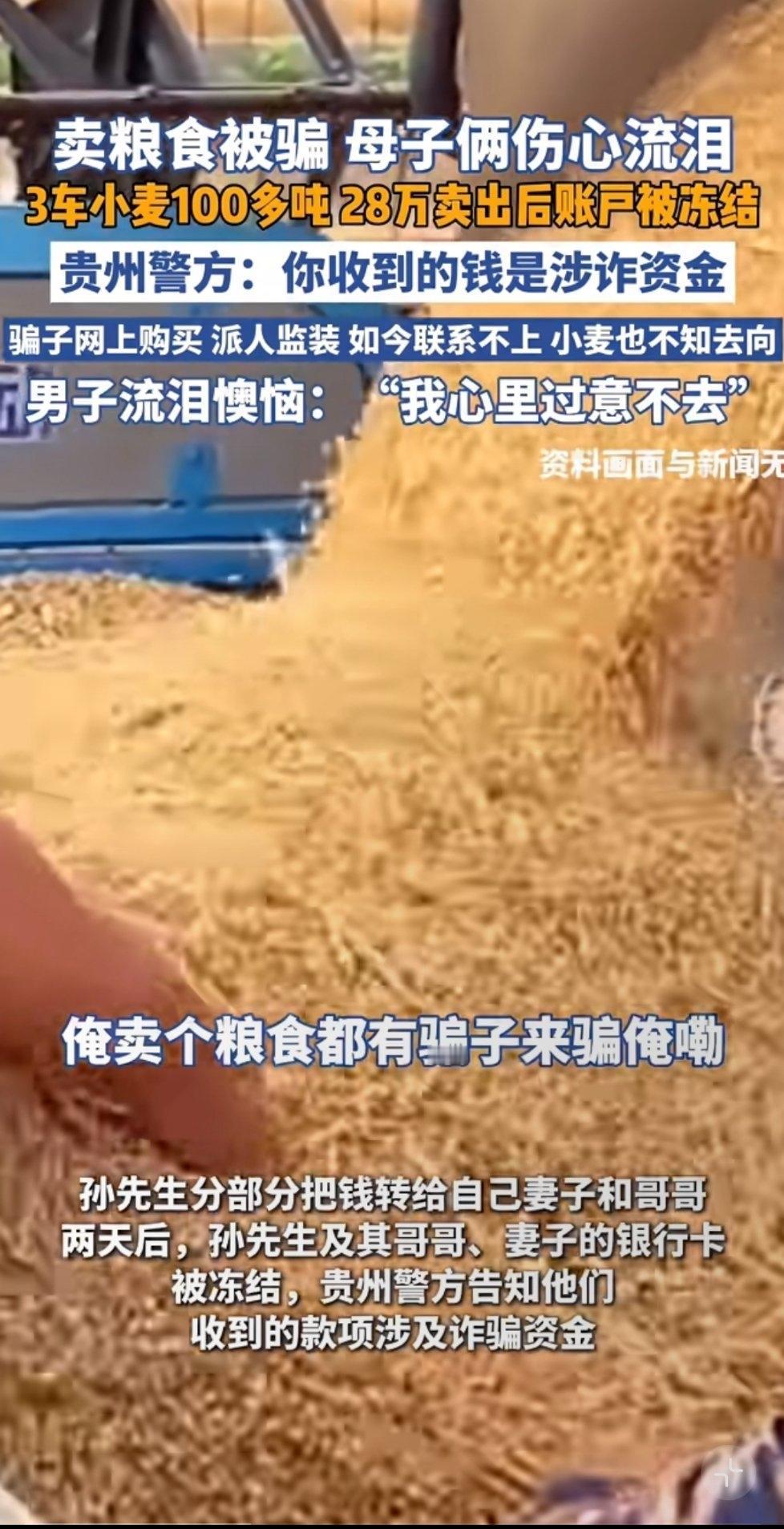 三车小麦刚拉走，28万货款就到账，河南新乡这对母子正盘算着还贷款、添农具，银行一