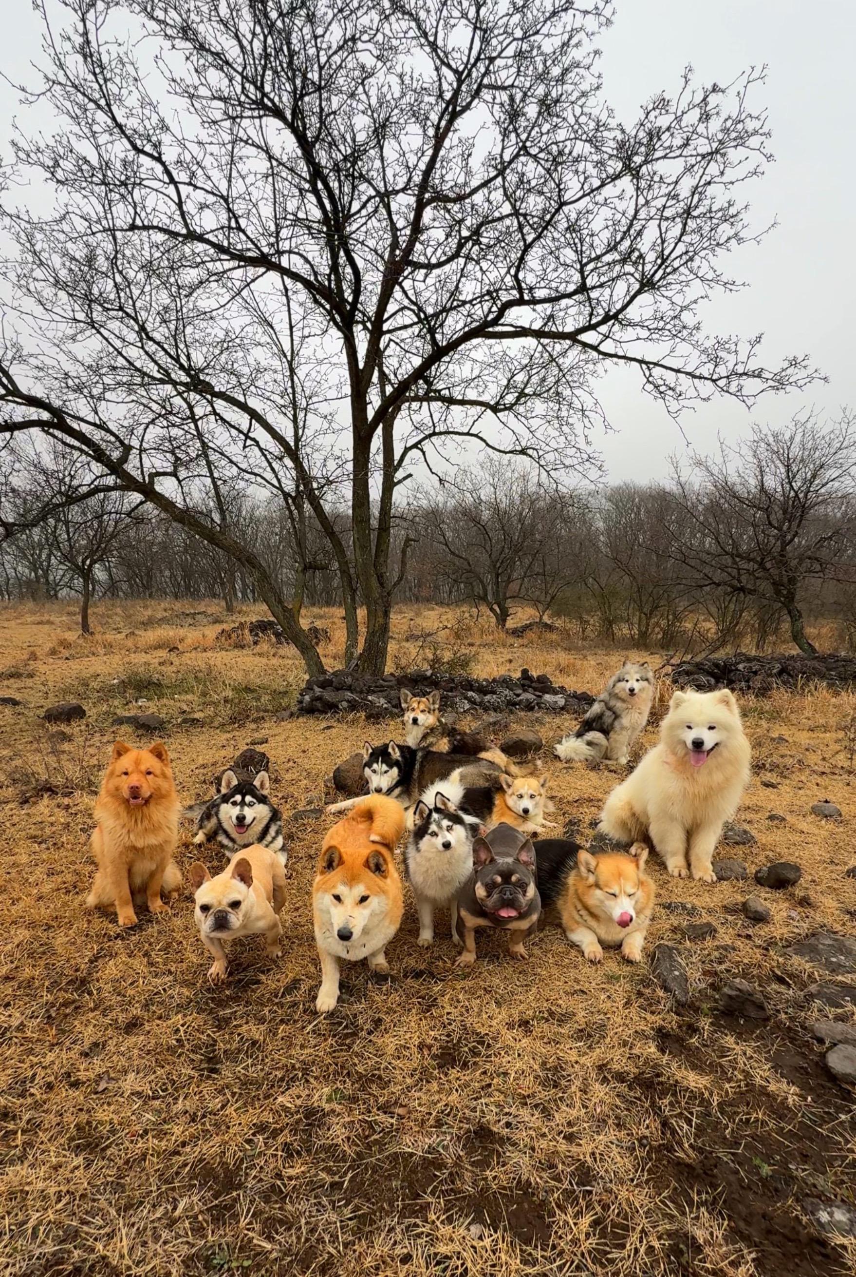 今日份团建合集