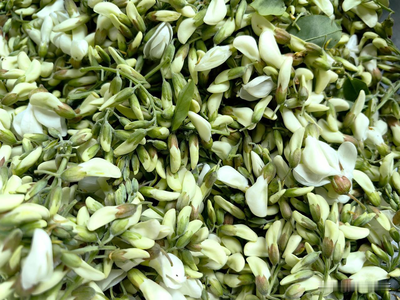 槐花开了，这个季节吃一碗槐花麦饭，真的是太棒了。
每年这个季节，槐花开始上市，每