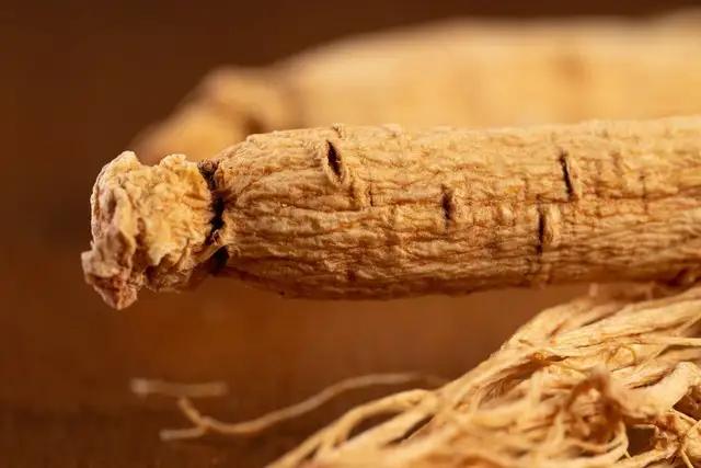 一棵参1800万，不是炒作，而是吉林人参价值起义的真正开始！
 
从拍卖天价到万