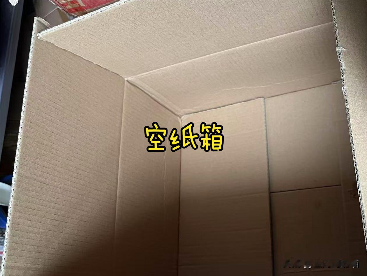 大家知道吗，离家后回归的猫咪仍会有一段时间“树洞”期。这沿于猫咪在野外生存本能形