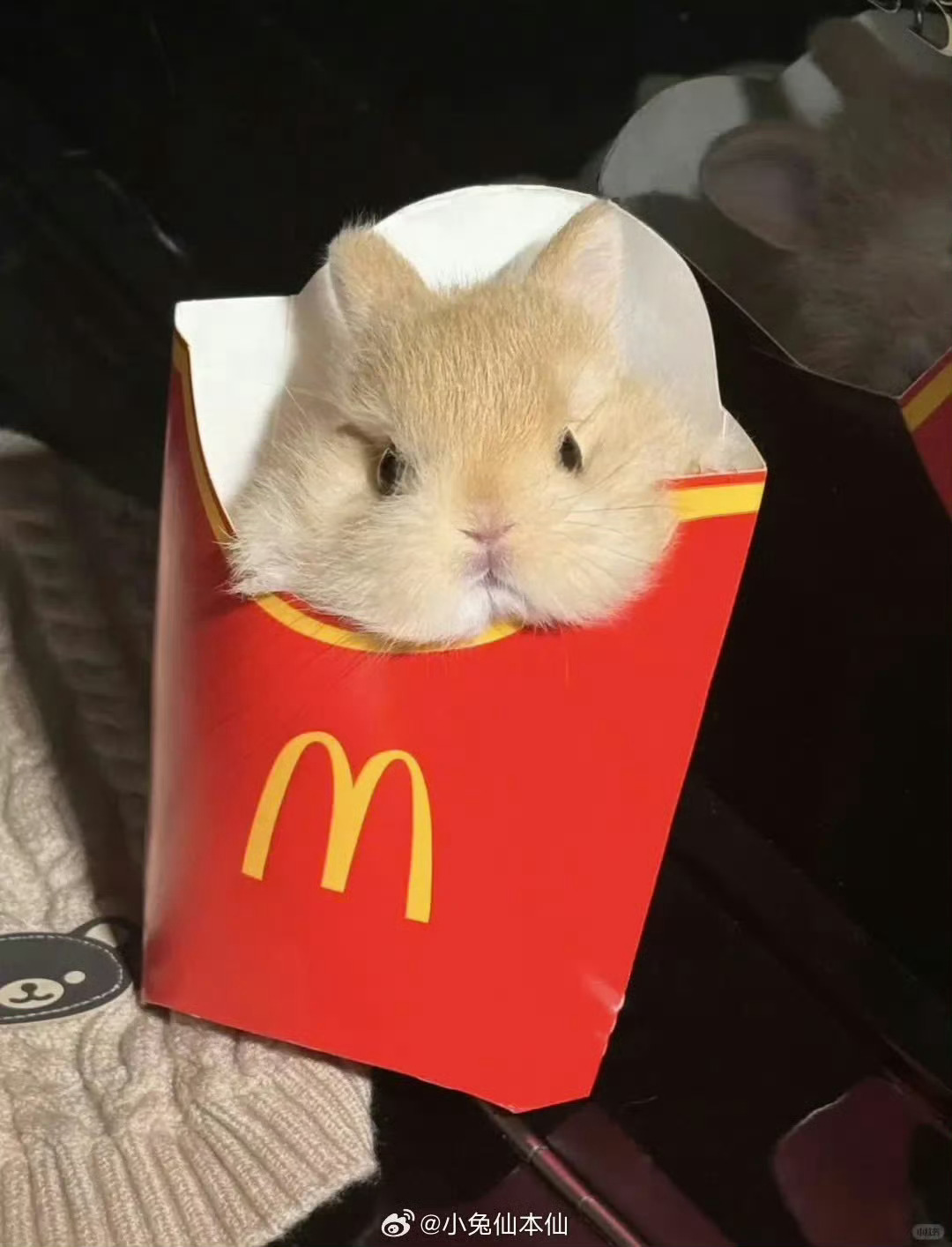 麦当劳小兔 