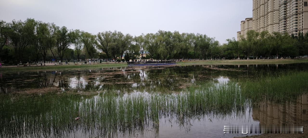 生命应是一场逆人性的修行……
