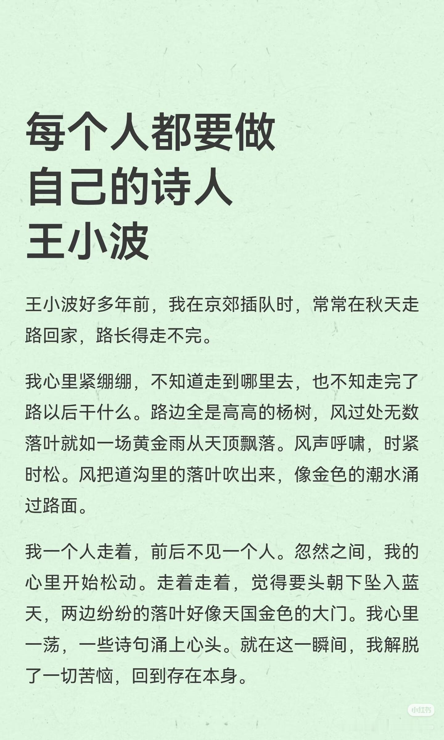 《每个人都要做自己的诗人》  作者:王小波   佳作推荐 ​​​