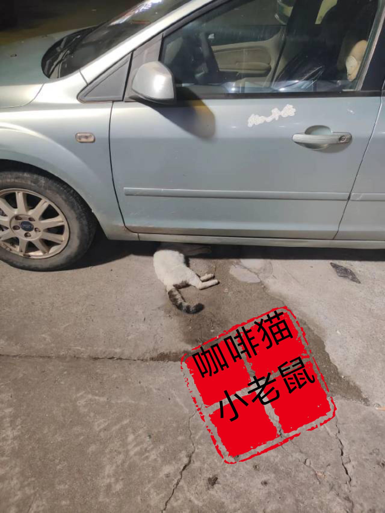 午夜时分在一处停车场的小区里面，下班途经此处的一位小姐姐无意间，突然拍下了这辈子