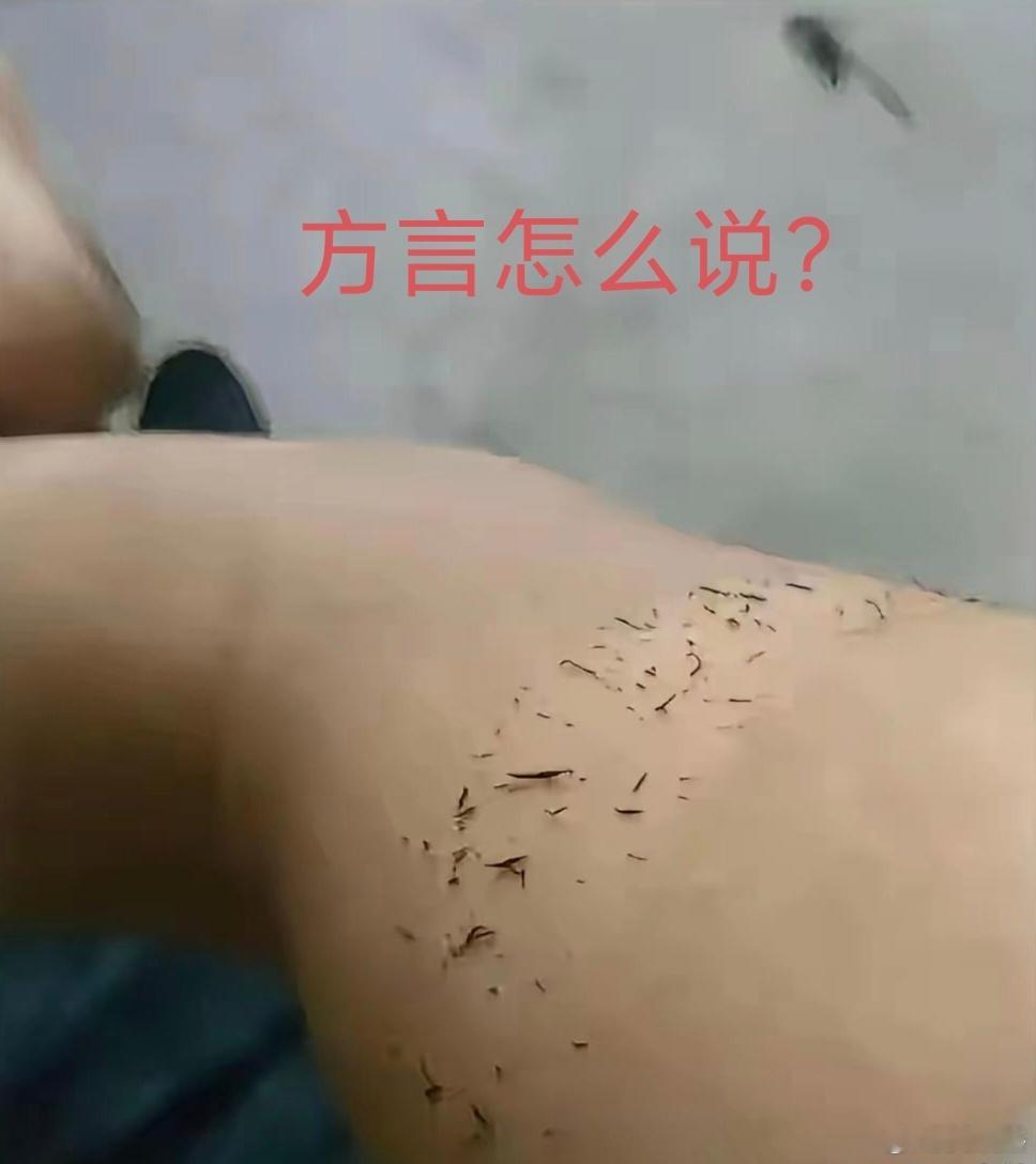 这个方言怎么说？（上海话：老龈） ​​​