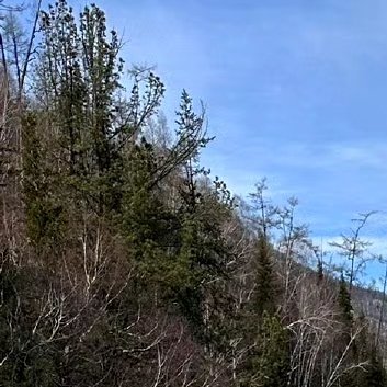 懂得尊重别人，也尊重自己的心声，学会调整，遇见困难了，多想想，没什么大不了;遇见