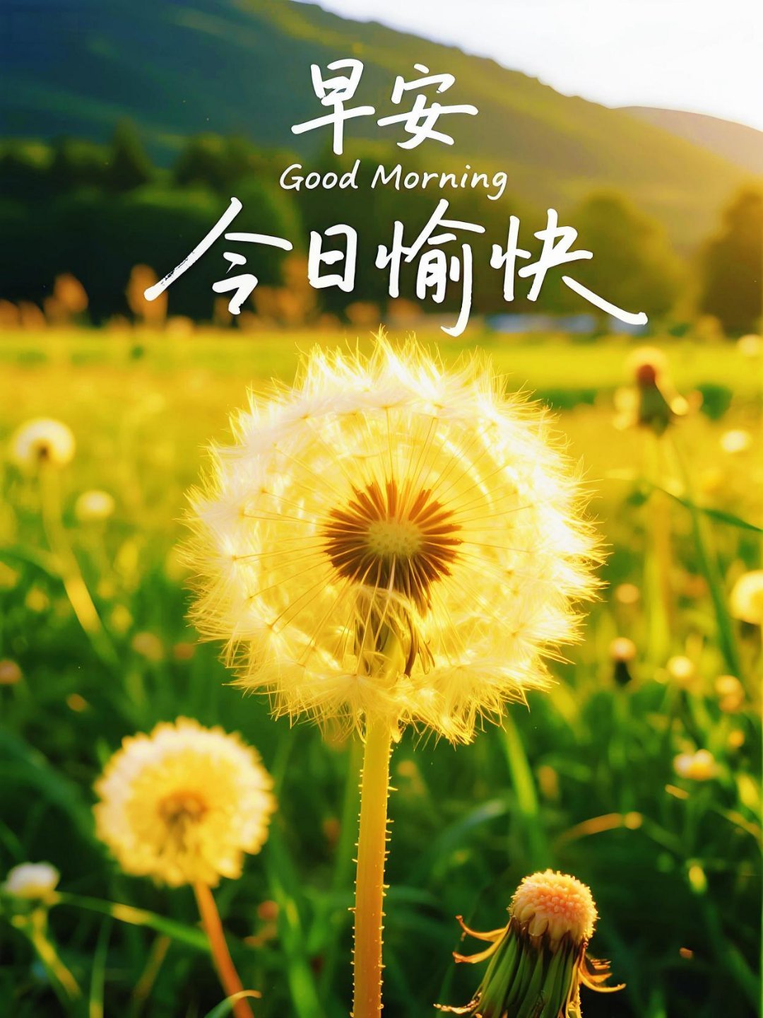 早安 世界上最棒的事是，每天早上醒来又是崭新的一天。现在的每一个微小的努力，在未