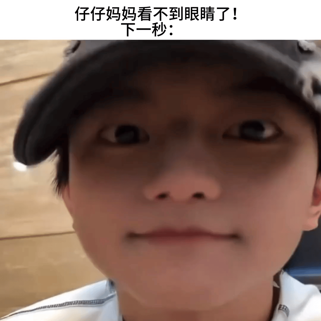 呆呆猪 