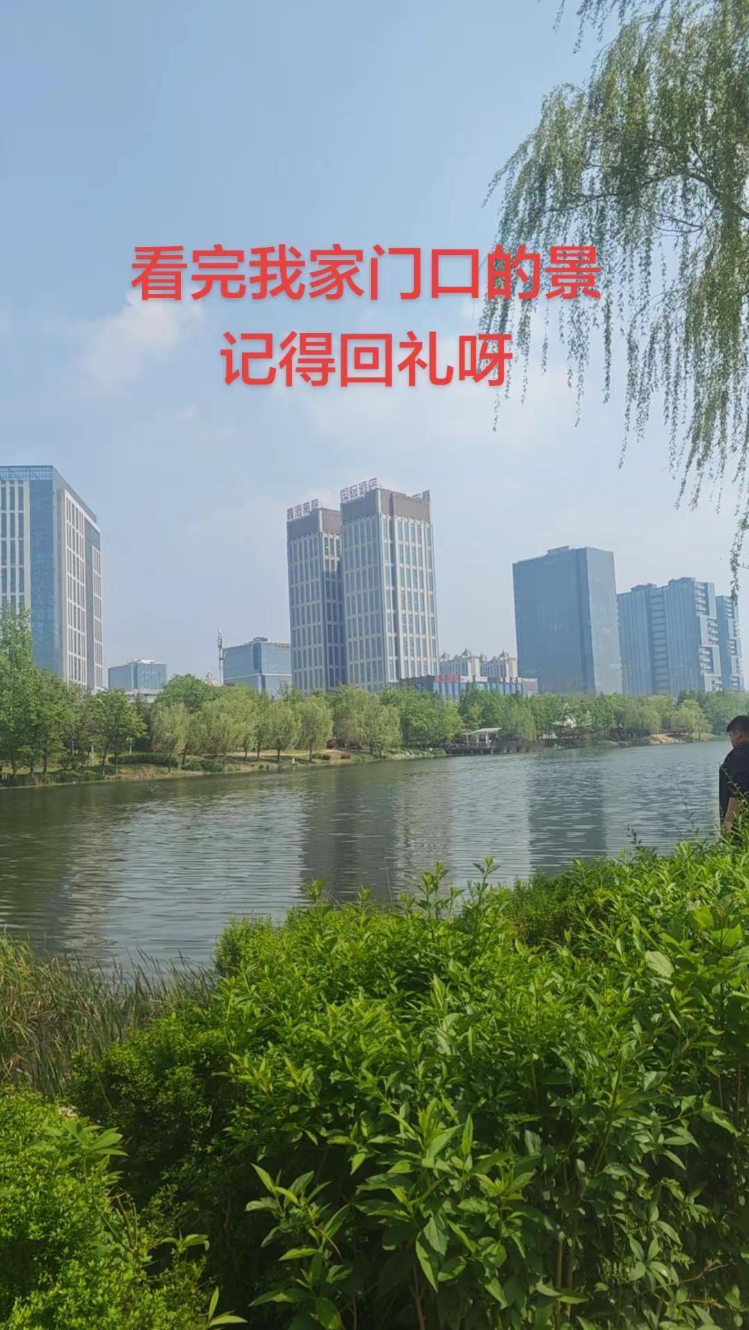 春日晴光正好，沿湖漫行，看水波映着楼宇与云影，柳丝垂岸，风里都带着草木的清润气息