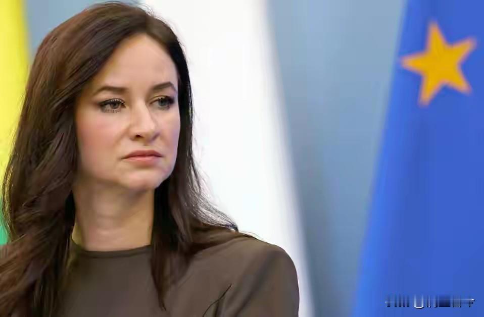 当地时间10月23日，立陶宛国防部称两架俄罗斯军机进入其领空18秒，还飞了700