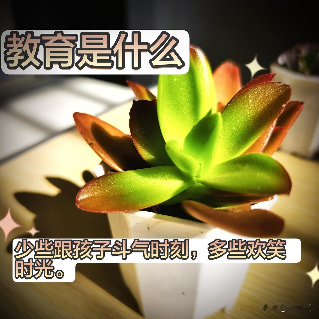 少些跟孩子斗气时刻，多些欢笑时光。

我的感悟是：别让“斗气”灭了孩子心底的光。