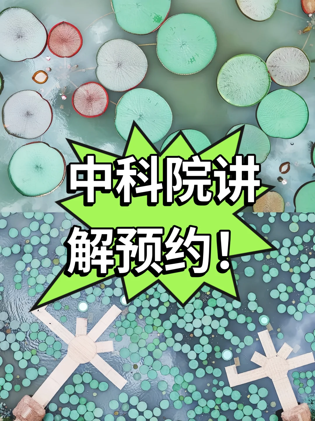 寒假来临❗中科院植物园讲解预约攻略💥