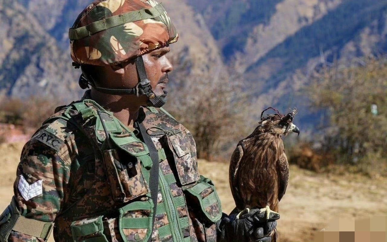 印度在中印边境部署动物部队

印度在2026年共和国日阅兵式上首次展示由骆驼、矮