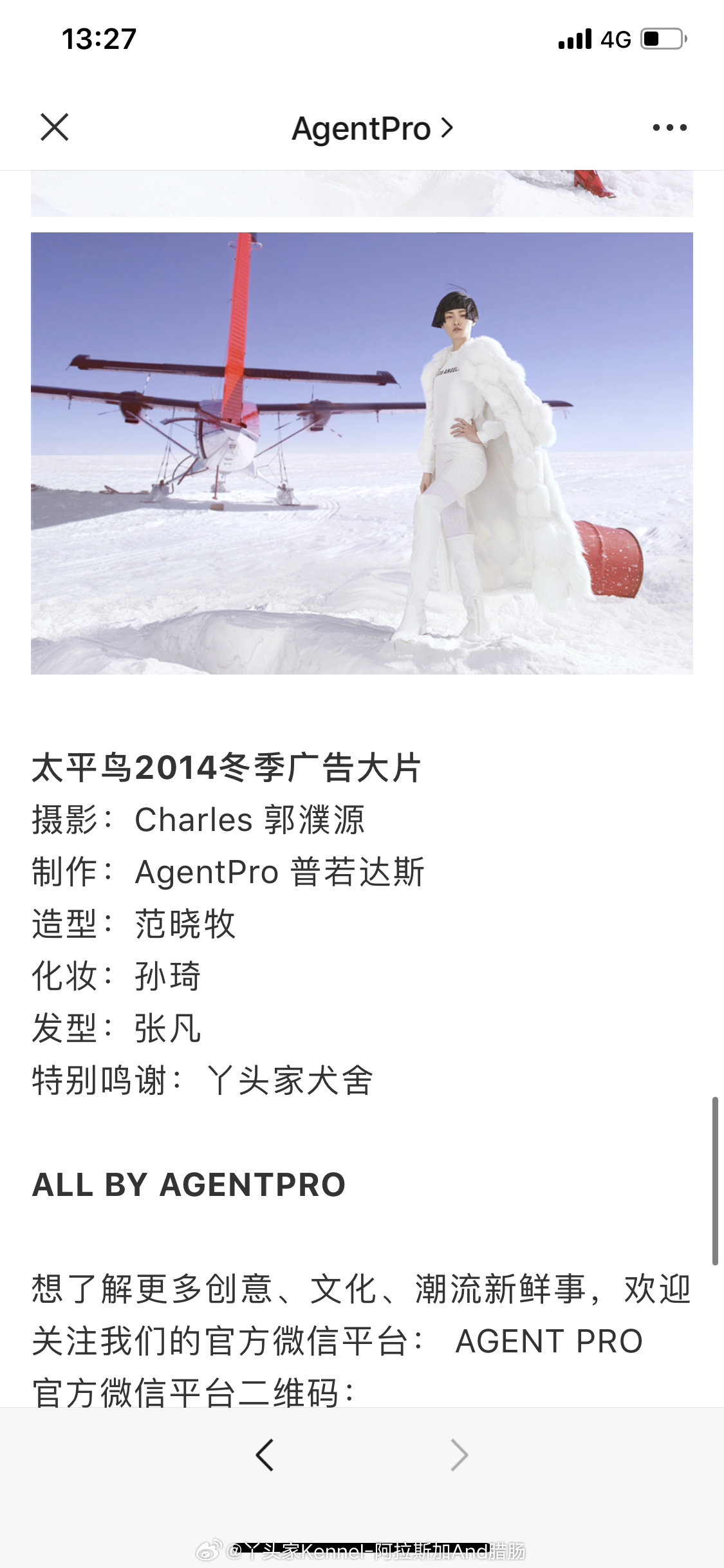 时间过得真快呀 ！这是我们犬舍的狗勾 11年前拍的广告 