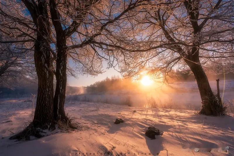 冬日生活打卡季 冬日生活打卡季，就是要捕捉那些微小而确切的幸福。清晨，被第一缕阳