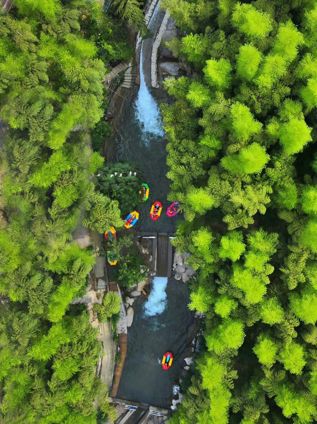 迄今为止‼️我最喜欢的江浙沪竹海漂流出现了