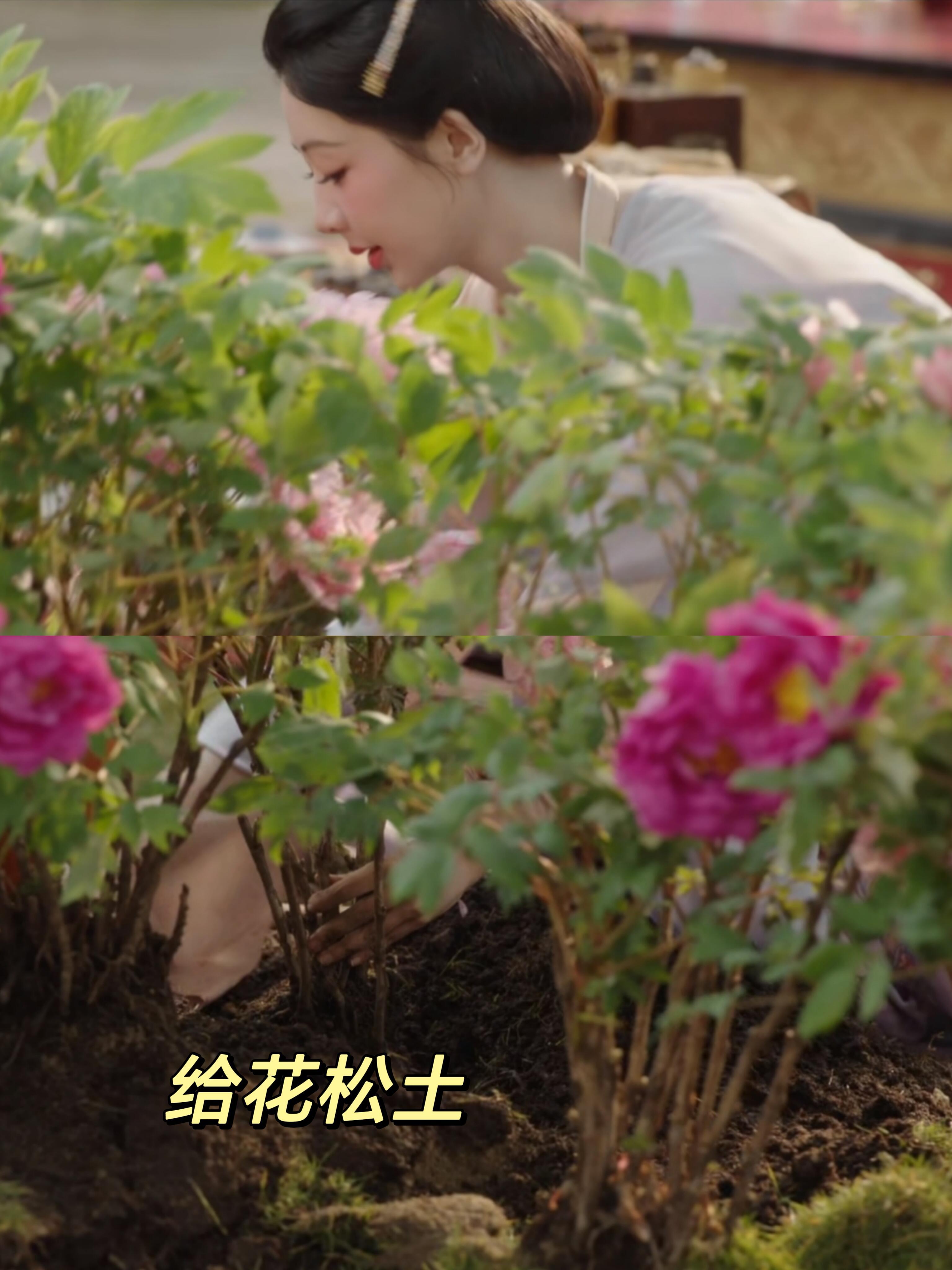《锦绣芳华》里杨紫的小细节，尽显种花人的模样。她演何惟芳，自然得仿佛就是本人。照