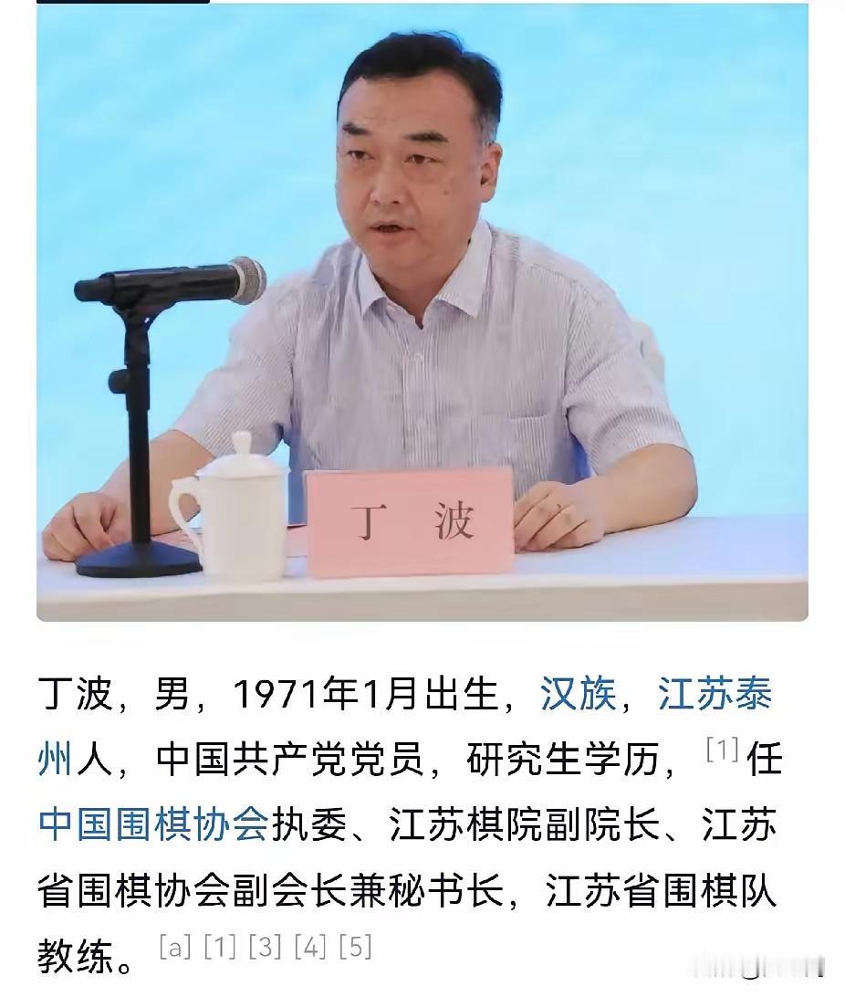 象棋界录音门事件没有结束，中国围棋界又出大丑事，江苏棋院副院长丁波被查。
丁波他