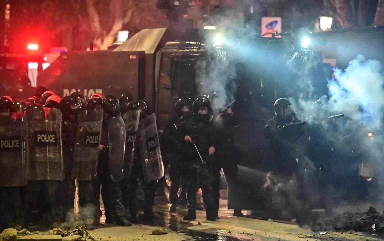 格鲁吉亚反对派暴乱活动导致50多名警察受伤
第比利斯时间11月30日，格鲁吉亚总