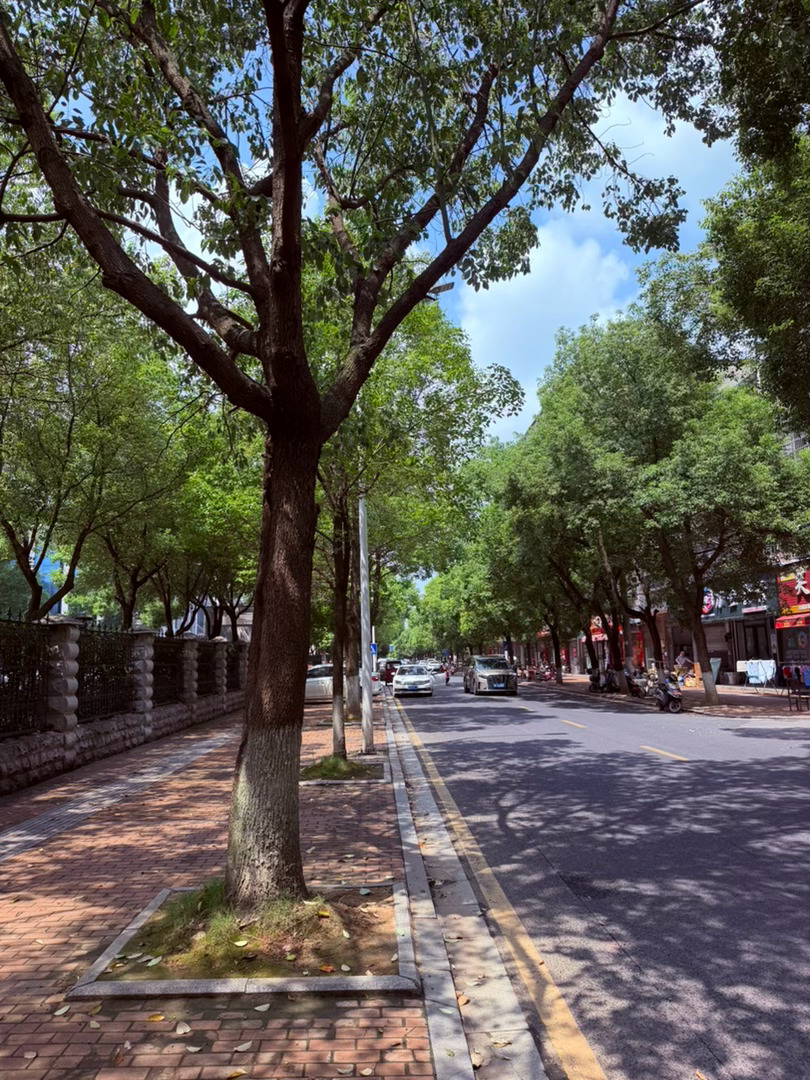 生活手记记录真实生活摄影摄影摄影 小城秋序，风染街隅夏意缓缓退场，初秋悄悄降临在