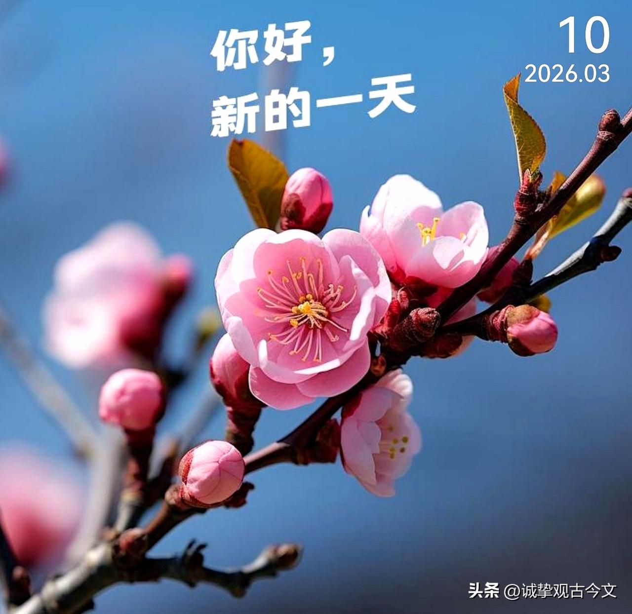 春是开始，春是希望，向着阳光☀️的方向，万物卯足了劲儿生长，你也要加油呀！不负韶