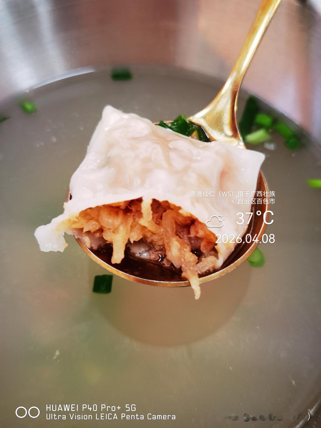 旅居生活记录（9438）广西壮族自治区百色市（123）品尝小吃36：凉薯鲜肉蒸饺