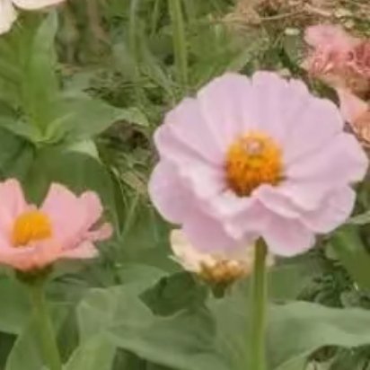 柳暗花明，正是人生路上的一个美丽转折。当我们在困境中挣扎，当我们在黑暗中迷茫，不