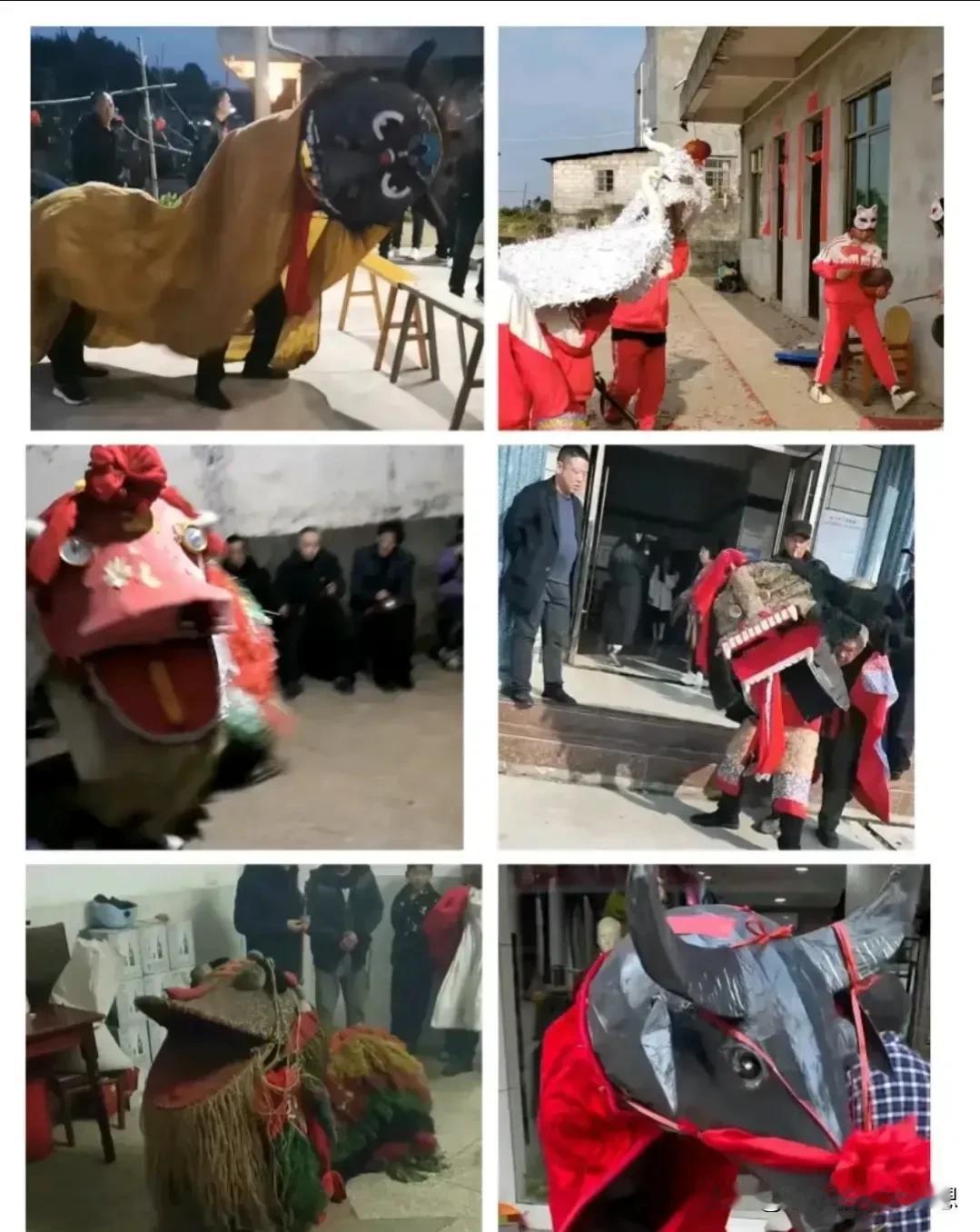 天下之大，无奇不有，我一直以为全国的狮子都是长一个样，直到我看到外省的狮子，我被