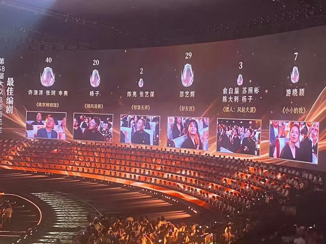张艺谋来了也得两票