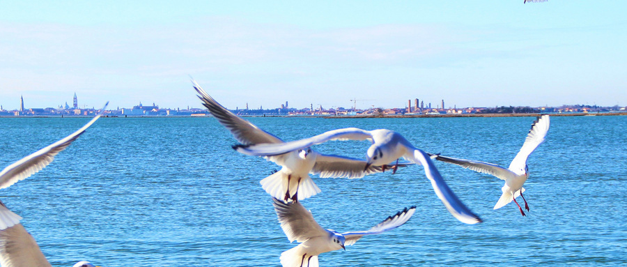 建议想减肥的人去一趟云南 主要还是云南太好玩了吧！吃完之后就去逛逛逛，路走多了自