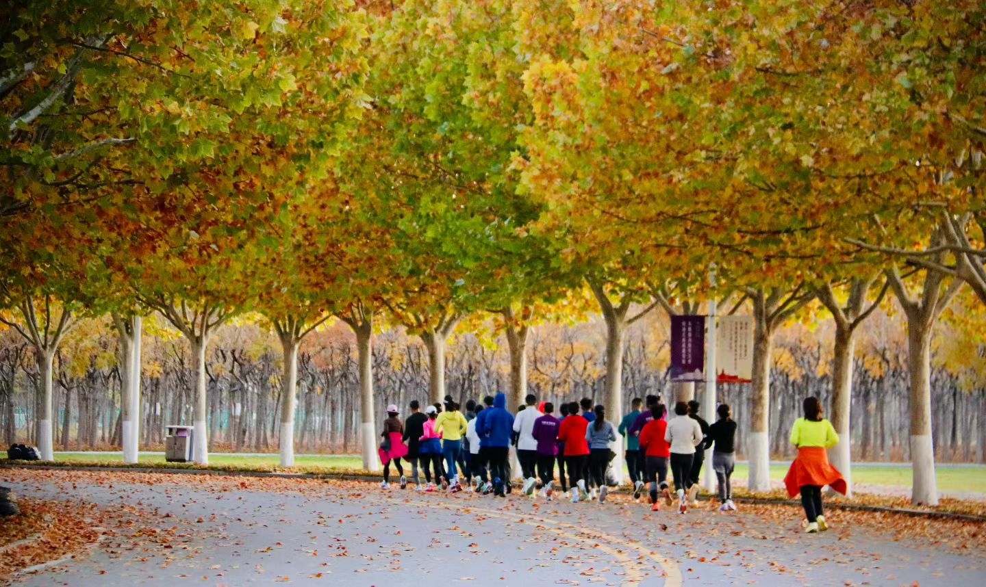 偶遇一群勤劳的人们，真心佩服，我已经很久没有锻炼过，印象中还是上学的时候跑过步[