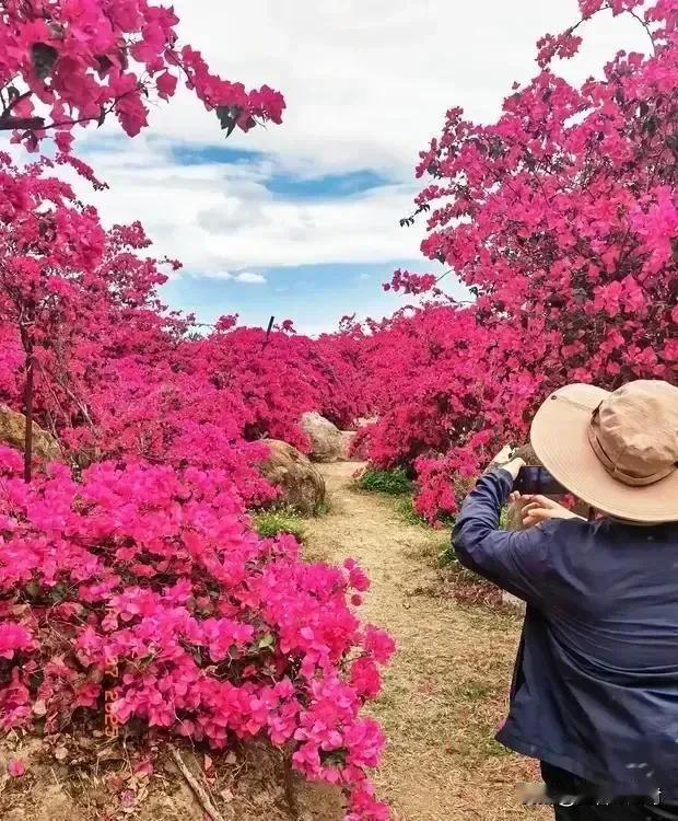 今天，从陵水出发，去南湾花镇，然后逛三亚免税店，晚宿海棠湾简野悠然小筑店。
南湾