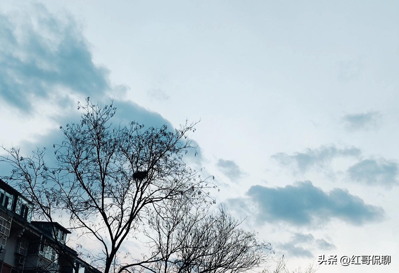 其实对梅某这个人的确不很了解，写过几片也是就是论事，没有别的意思，最近看见网上才