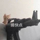 琼慧逛逛影视剧